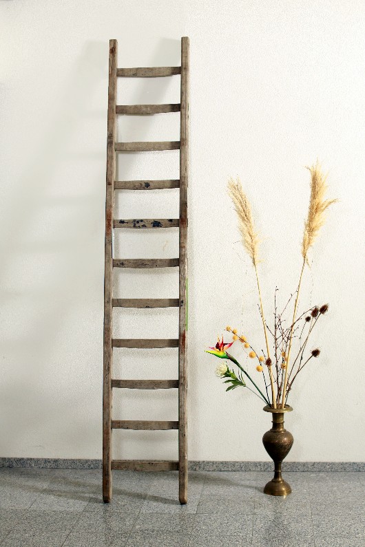 Catalog Image
