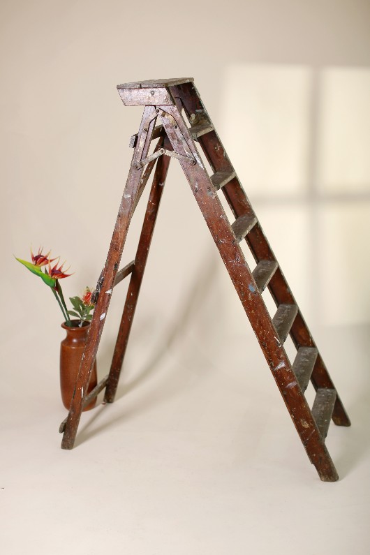 Catalog Image